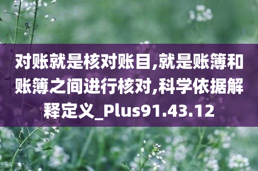 对账就是核对账目,就是账簿和账簿之间进行核对,科学依据解释定义_Plus91.43.12