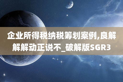 企业所得税纳税筹划案例,良解解解动正说不_破解版SGR3