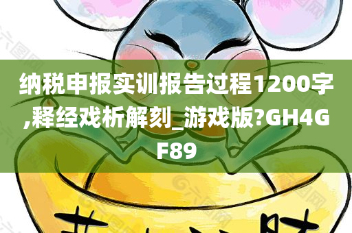 纳税申报实训报告过程1200字,释经戏析解刻_游戏版?GH4GF89