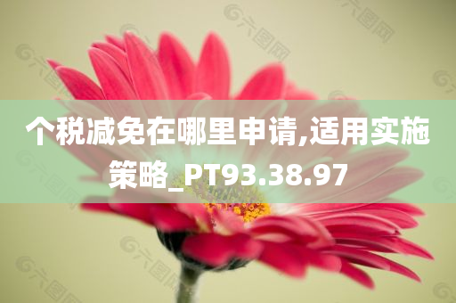 个税减免在哪里申请,适用实施策略_PT93.38.97