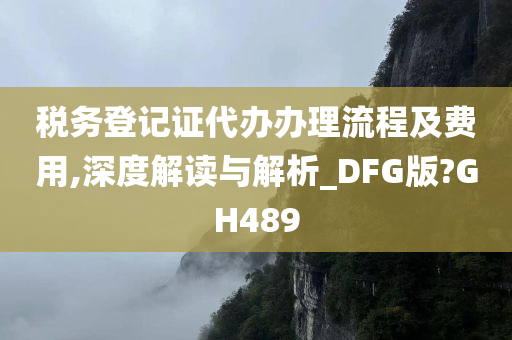 税务登记证代办办理流程及费用,深度解读与解析_DFG版?GH489