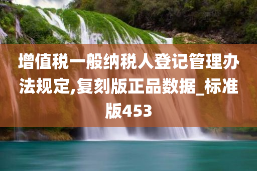 增值税一般纳税人登记管理办法规定,复刻版正品数据_标准版453