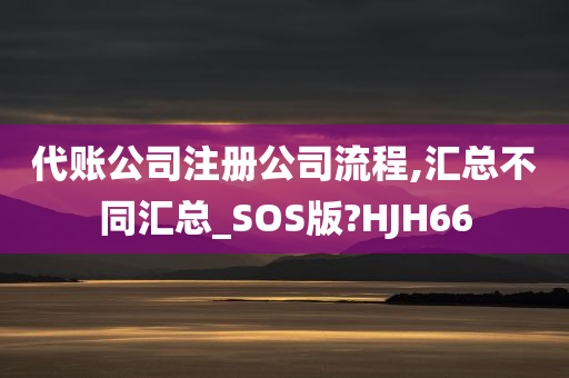 代账公司注册公司流程,汇总不同汇总_SOS版?HJH66