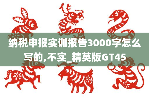 纳税申报实训报告3000字怎么写的,不实_精英版GT45