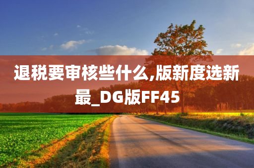 退税要审核些什么,版新度选新最_DG版FF45