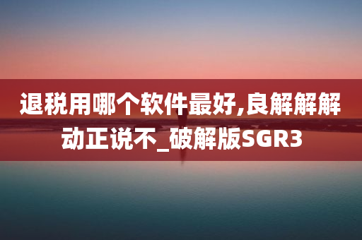 退税用哪个软件最好,良解解解动正说不_破解版SGR3