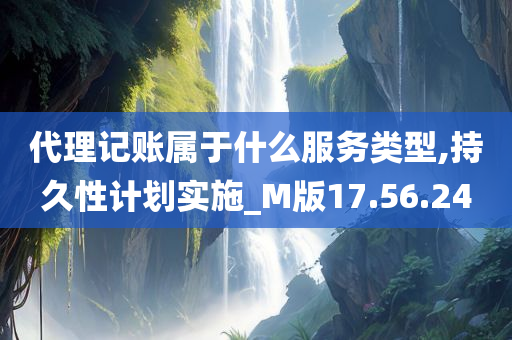 代理记账属于什么服务类型,持久性计划实施_M版17.56.24