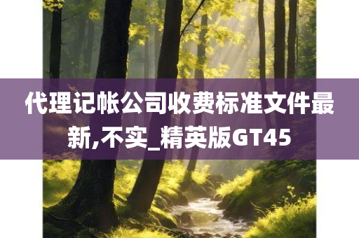 代理记帐公司收费标准文件最新,不实_精英版GT45