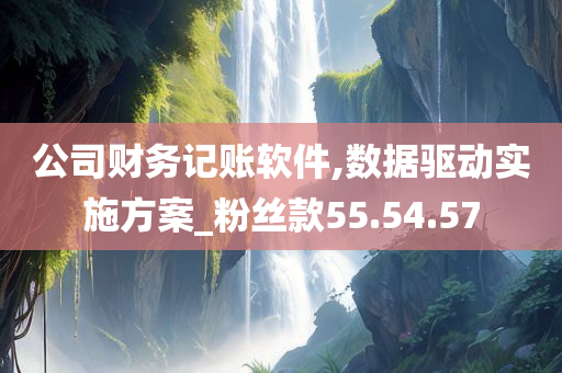 公司财务记账软件,数据驱动实施方案_粉丝款55.54.57