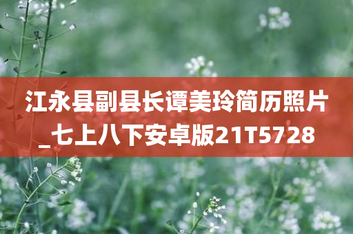 江永县副县长谭美玲简历照片_七上八下安卓版21T5728