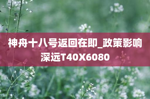 神舟十八号返回在即_政策影响深远T40X6080