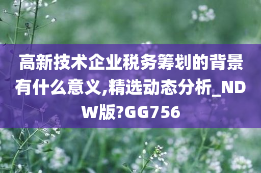 高新技术企业税务筹划的背景有什么意义,精选动态分析_NDW版?GG756