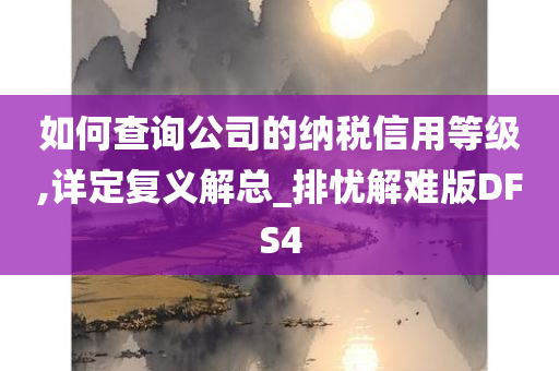 如何查询公司的纳税信用等级,详定复义解总_排忧解难版DFS4