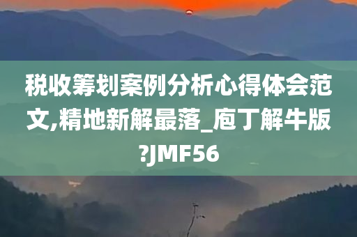 税收筹划案例分析心得体会范文,精地新解最落_庖丁解牛版?JMF56