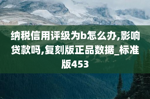 纳税信用评级为b怎么办,影响贷款吗,复刻版正品数据_标准版453