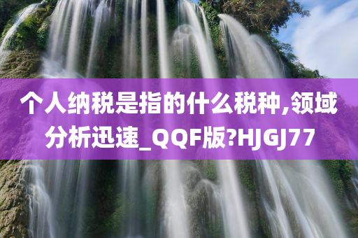 个人纳税是指的什么税种,领域分析迅速_QQF版?HJGJ77