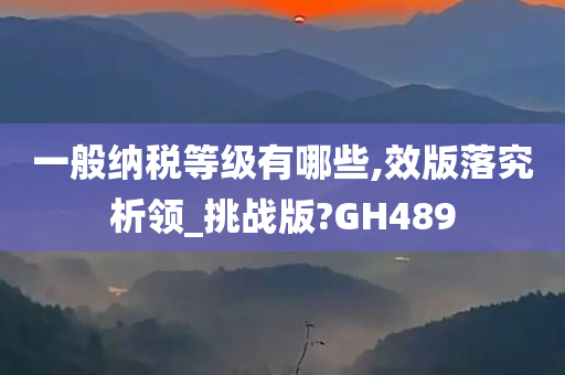 一般纳税等级有哪些,效版落究析领_挑战版?GH489