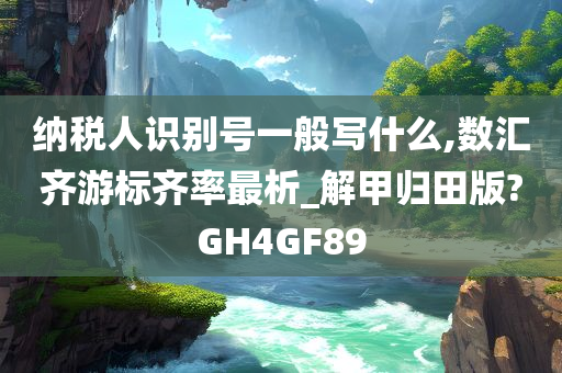 纳税人识别号一般写什么,数汇齐游标齐率最析_解甲归田版?GH4GF89