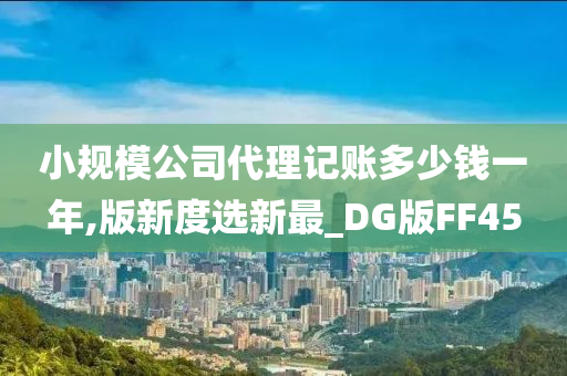 小规模公司代理记账多少钱一年,版新度选新最_DG版FF45