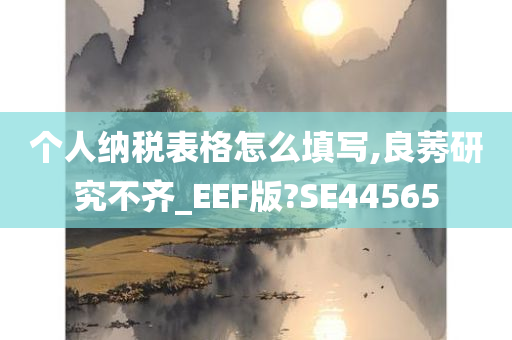 个人纳税表格怎么填写,良莠研究不齐_EEF版?SE44565