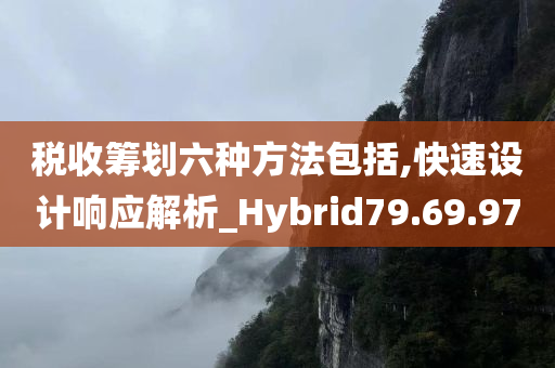 税收筹划六种方法包括,快速设计响应解析_Hybrid79.69.97