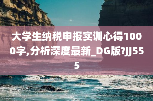 大学生纳税申报实训心得1000字,分析深度最新_DG版?JJ555